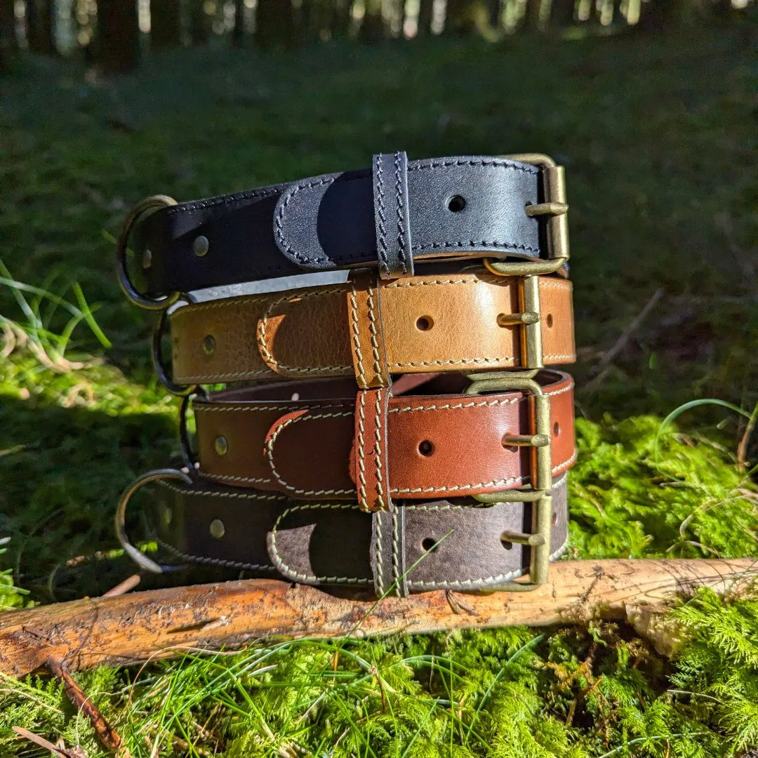 Collier pour chien en cuir véritable