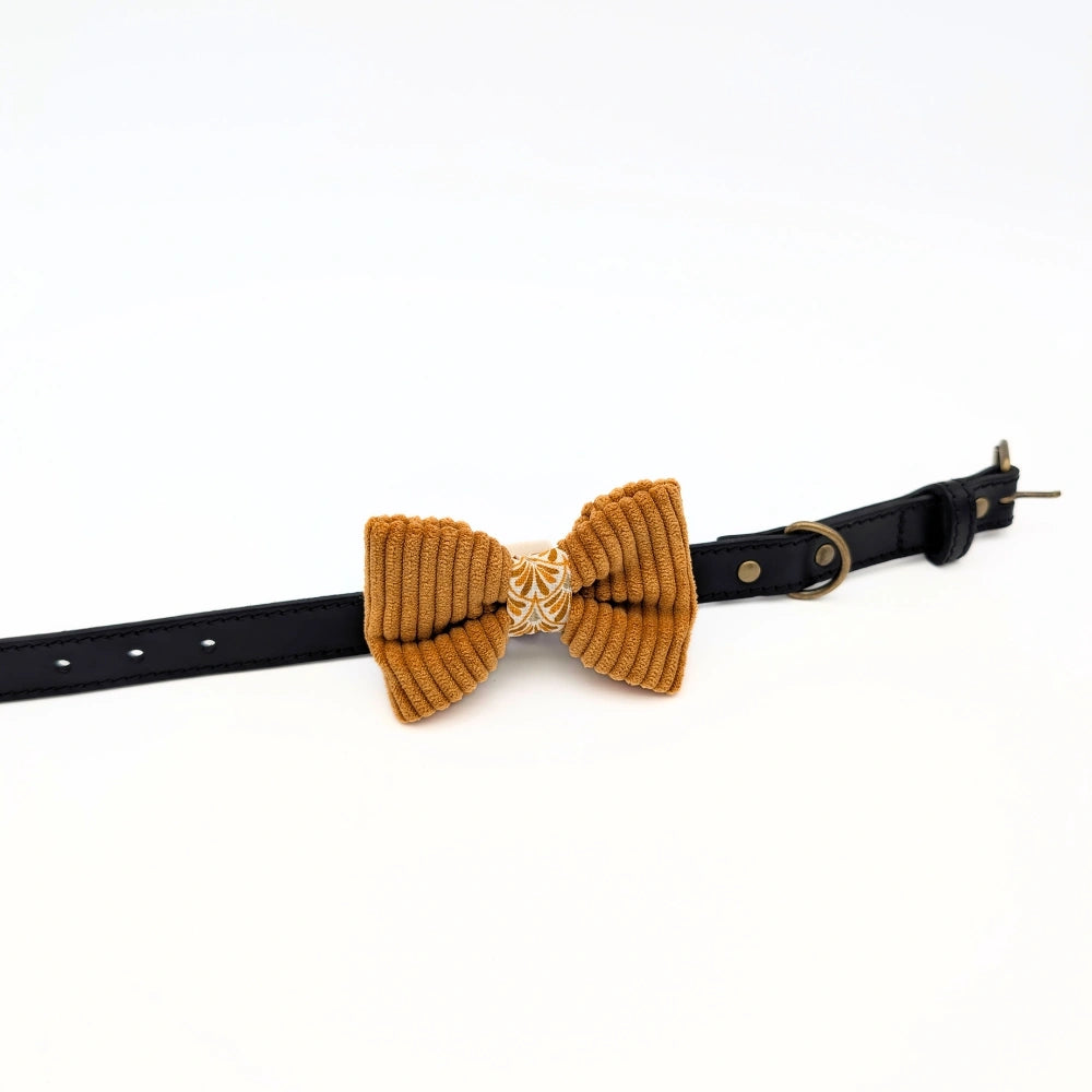 Nœud papillon en velours