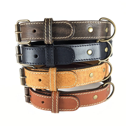 Collier pour chien en cuir véritable